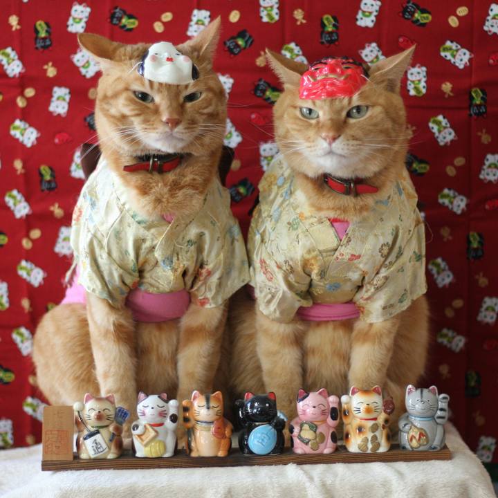 F8dd037f 7383 43b1 b798 2bdeac6e13e0 1517532312169