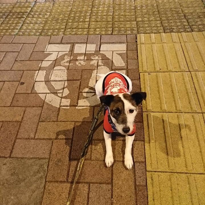 F8dd08c2 30cc 4e59 a5cf f73ed0c9b09d 1520938587573