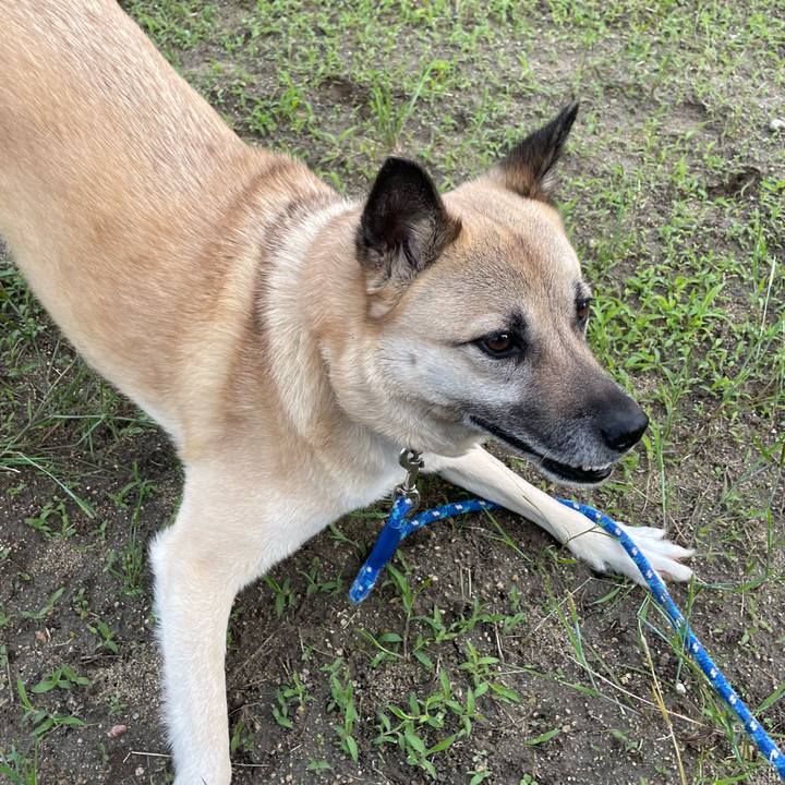 F8dd0977 d115 407e 933b ab2dde073649 1652790148429