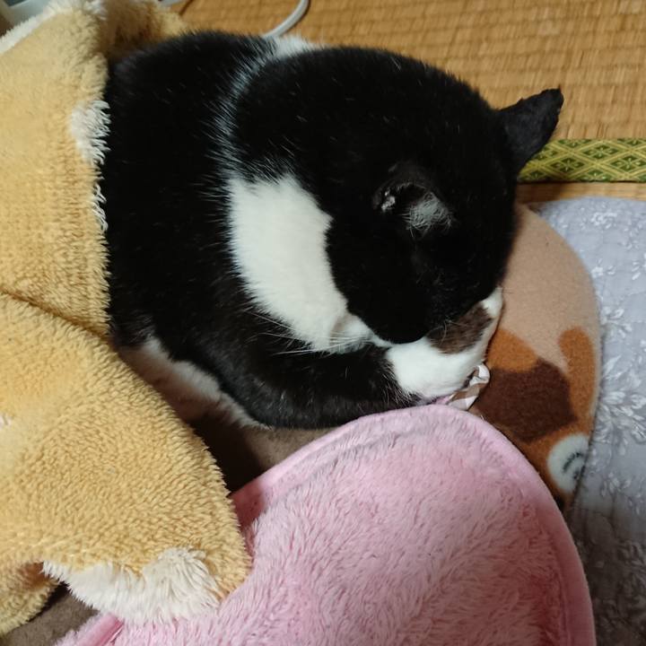 F8dd244f 5945 4e58 b125 f07279e236e0 1639882240302