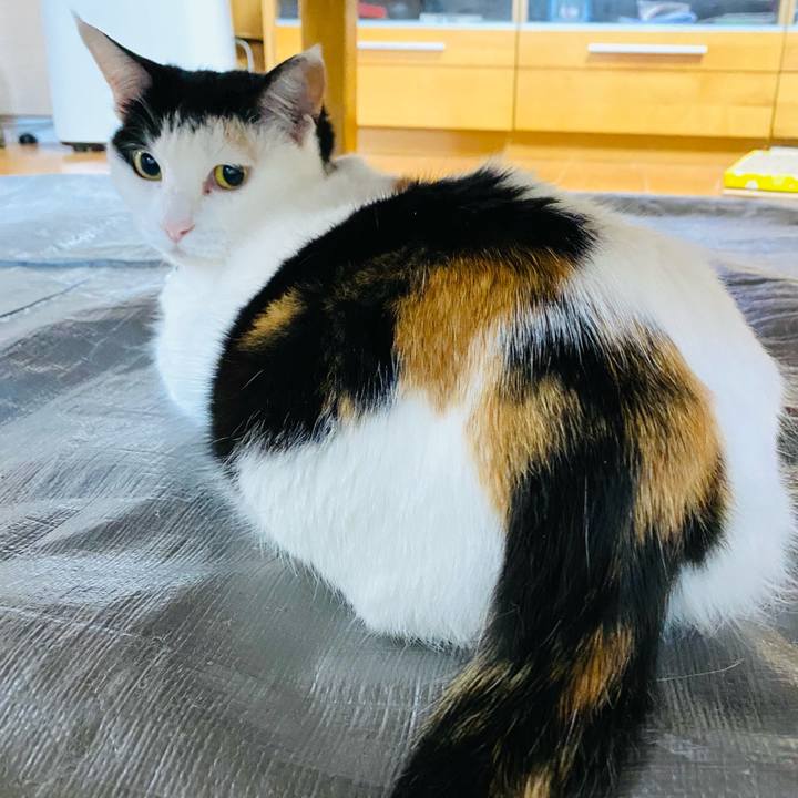 F8dd671a 5a13 472f bf60 9ed366644f0e 1683755809631