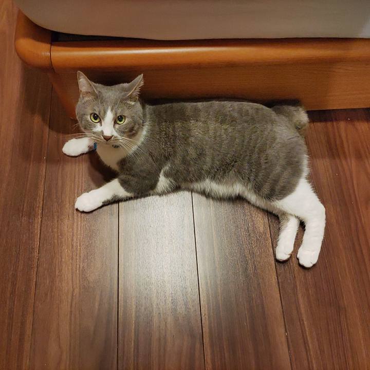 F8dd9270 866d 48b3 9728 ca01f22577d3 1685273228188