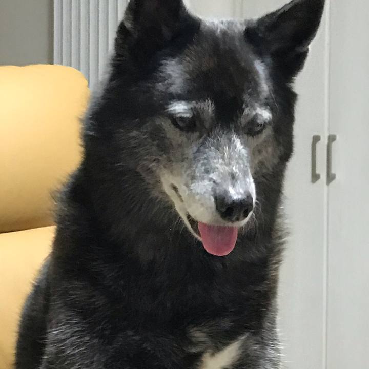 F8ddd36a d47a 4e16 9491 40aa6dba8447 1606016585708