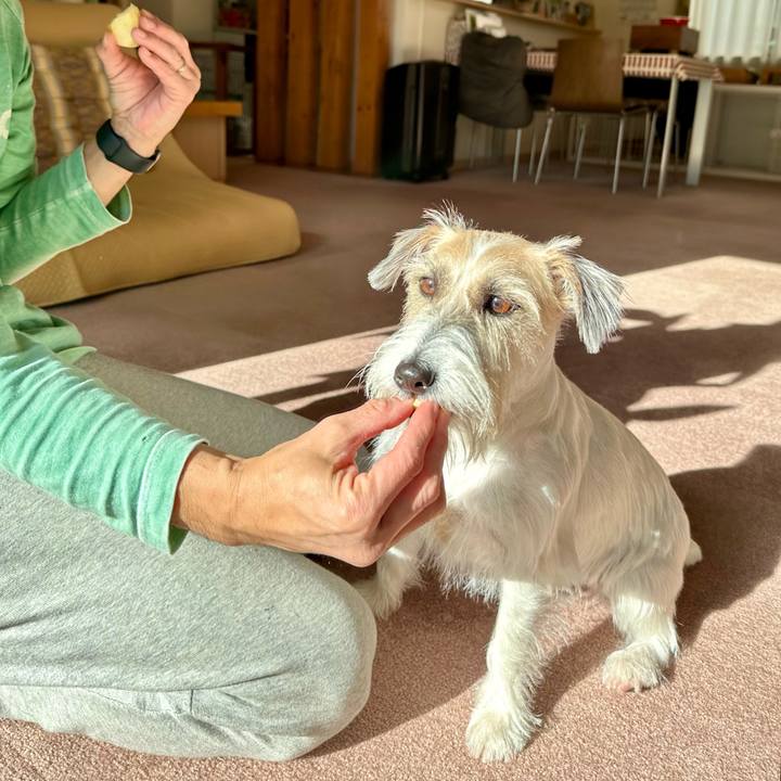 F8de019c 6b07 44da a0f5 44035a7aa42c 1702228178962