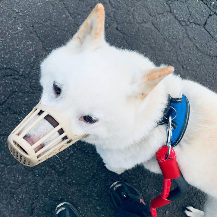 F8de25e0 59f5 4c0b a134 9234a65509f0 1662843269578