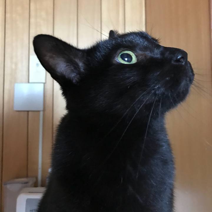 F8de2942 93a5 4d1e 89c4 2aa15b06a423 1508546992923