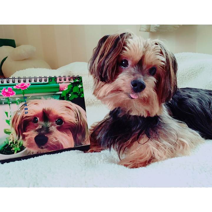 F8de2aed 65a8 4d7a 8d14 6c2f8c6a86fe 1561940708799