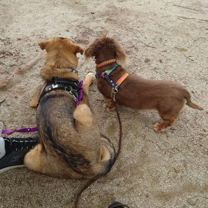 F8de85cc f2f1 46b3 a76c 09a7f5e37f9a 1687646616040