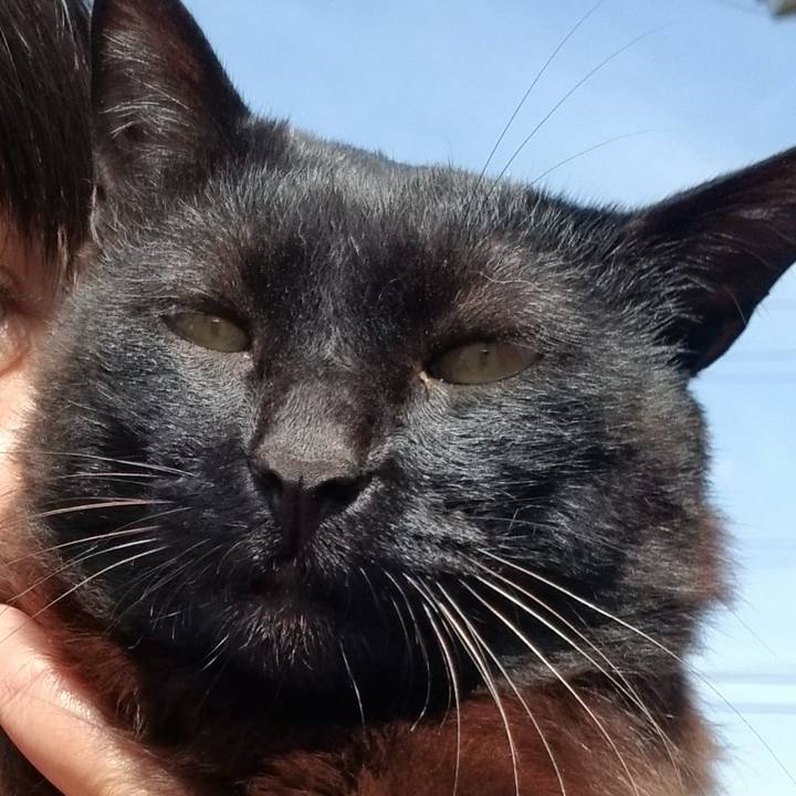 F8de8fea 0014 45fe 9723 7a28e728ed3e 1691019895865