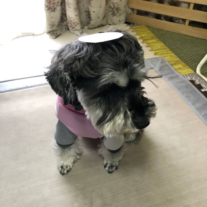 F8deaa3b 5242 4324 a781 82514fbb933e 1634952165612