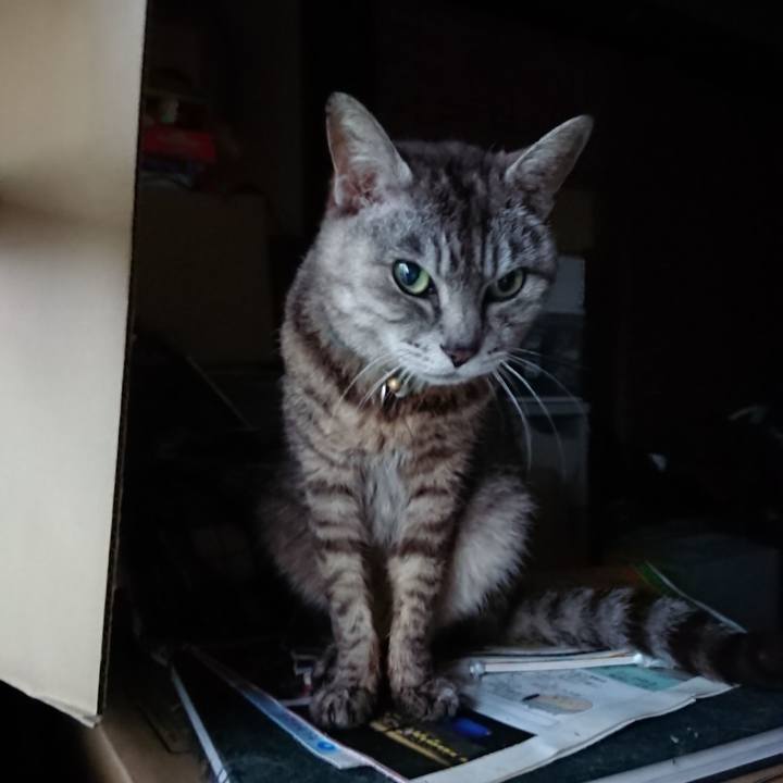 F8deabc9 c7cb 4603 b2d2 92f8edd736b4 1563479664798