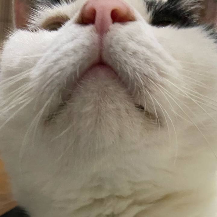 F8dec16c a0a9 434c bb98 8c7972d3402b 1596891644274