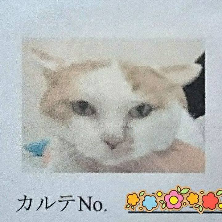 F8dec292 e743 40c9 ac15 a1f7a7a46fae 1625838652210