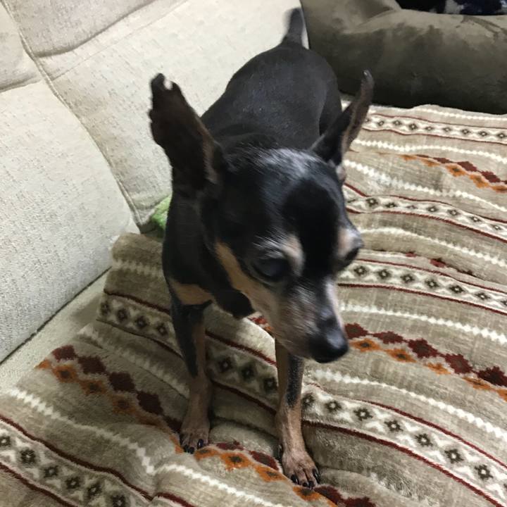 F8ded591 a4f6 4cb7 9a79 e1b8c5580362 1555854916784