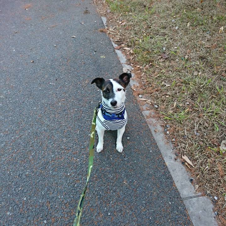 F8def771 a858 42df b9aa e3edf444007e 1513029937093