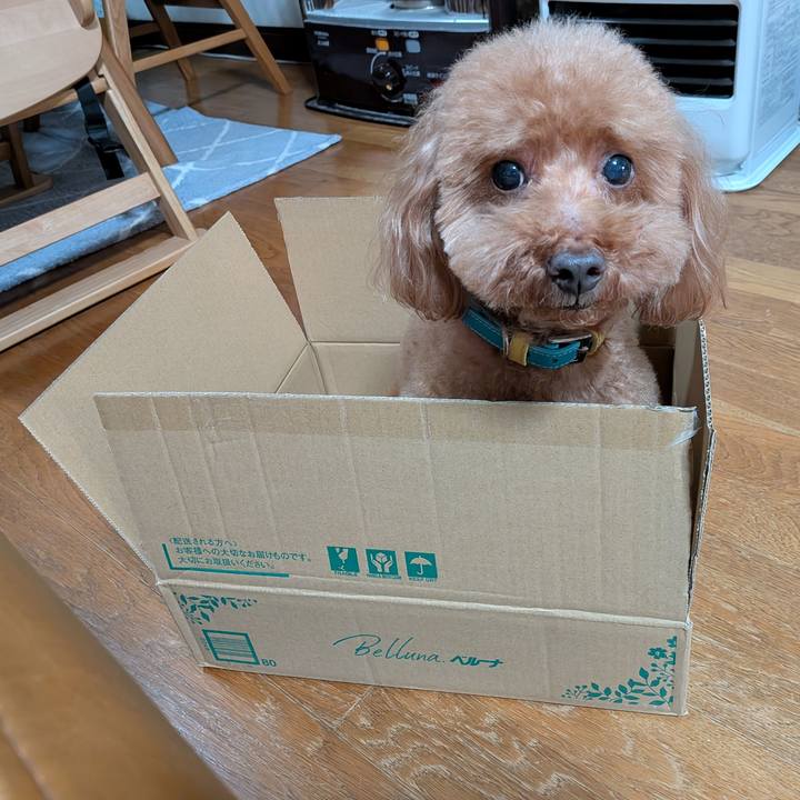 F8defca7 63c0 4409 bcd2 884f468efdf6 1763194962255