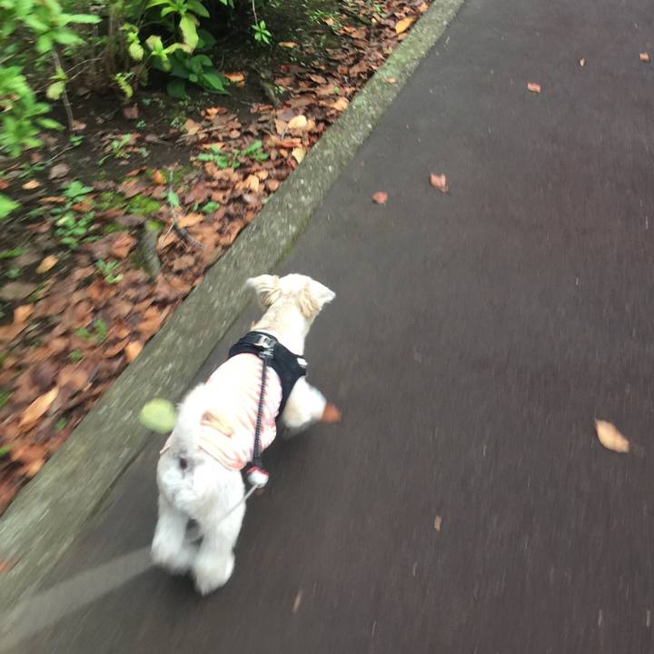 F8df3177 19a8 4184 9001 e750dad8dd28 1538652204087