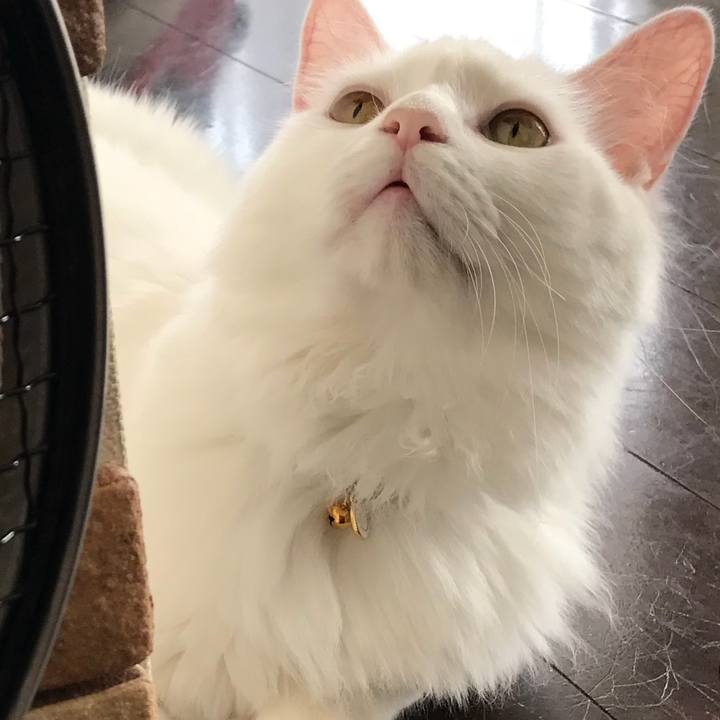 F8df327d a947 4074 b3cd bf64492d3403 1527937141024