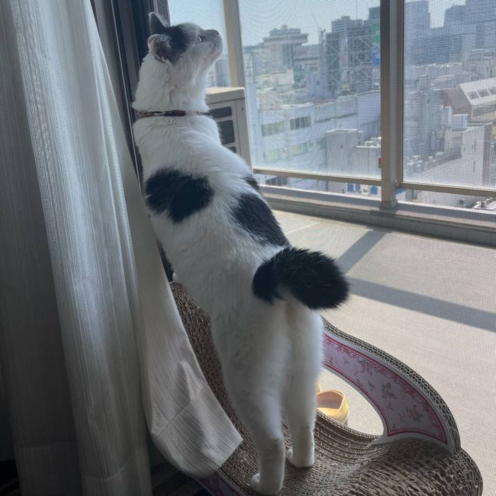 F8df4ab0 acd2 42e0 8467 42414ada3300 1650689495820