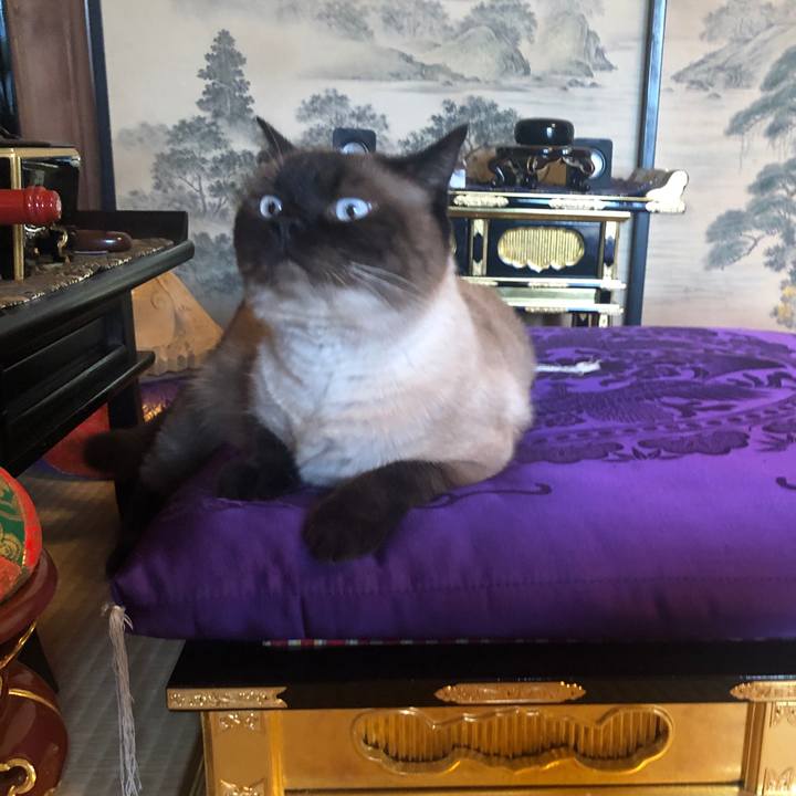 F8df64f5 761e 4662 ba6b 35ef81bd23d0 1624671084105