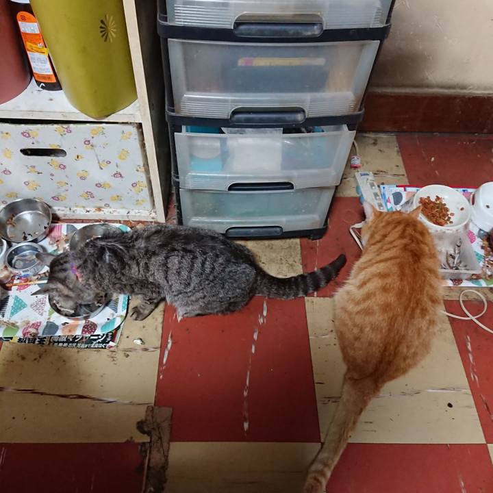 F8df7fcd 32c5 4f6e b721 56eddd064577 1592105987823