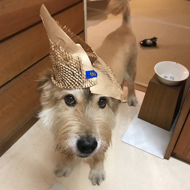 F8e0018e 8bd3 4c73 977e fcea9bb7115d 1598308907284