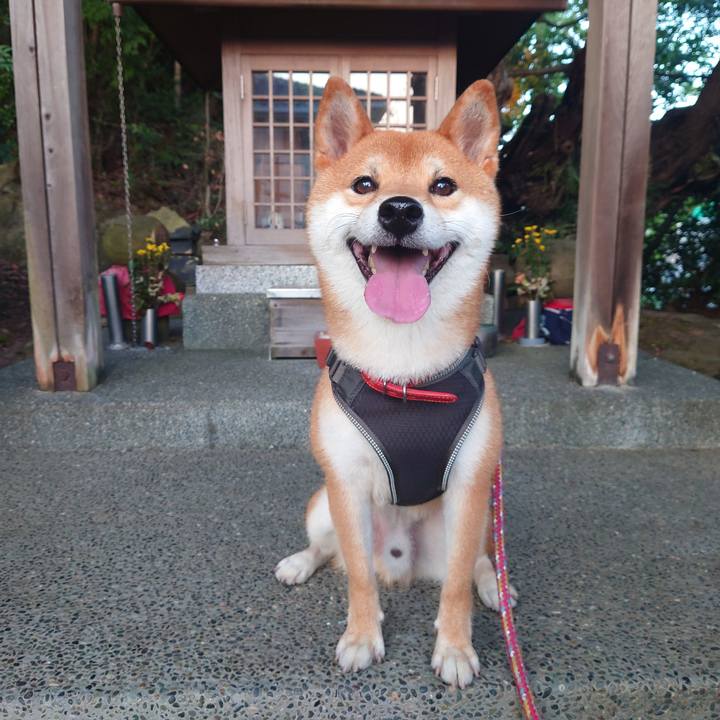 F8e003e3 d13b 4b8b 957c 3d6141af1328 1757366847866