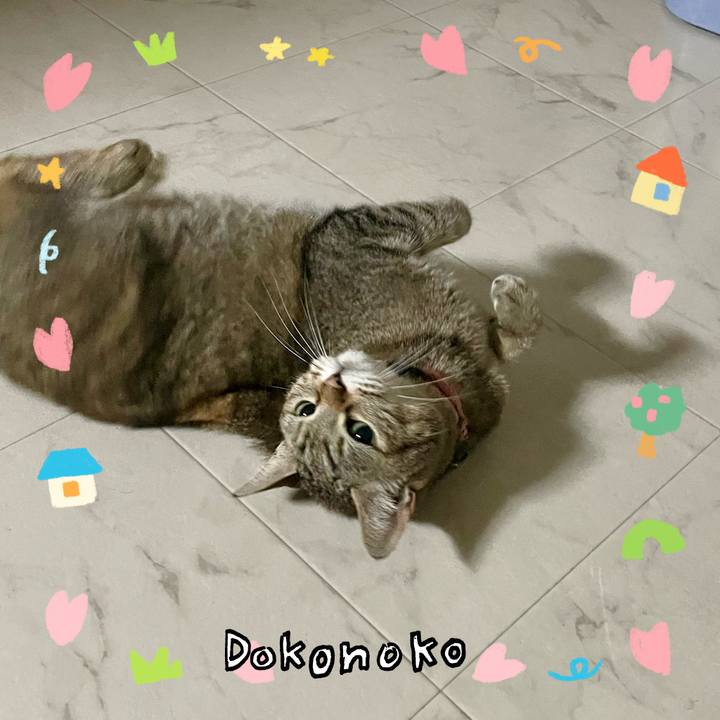 F8e00b74 6d21 487c bb4e ed6635882192 1741376080975