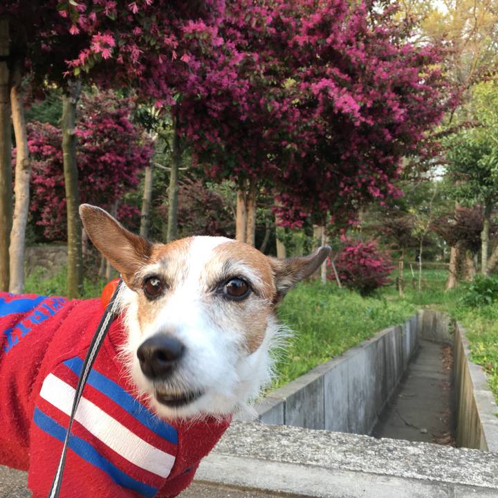 F8e01728 0ecf 45b5 b1b5 c1955be3b3dd 1586298876800