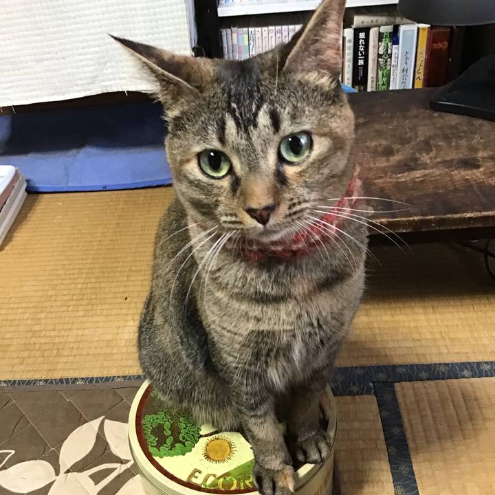 F8e024ed b3f7 430a b6ca fc5b1191f311 1634089441938