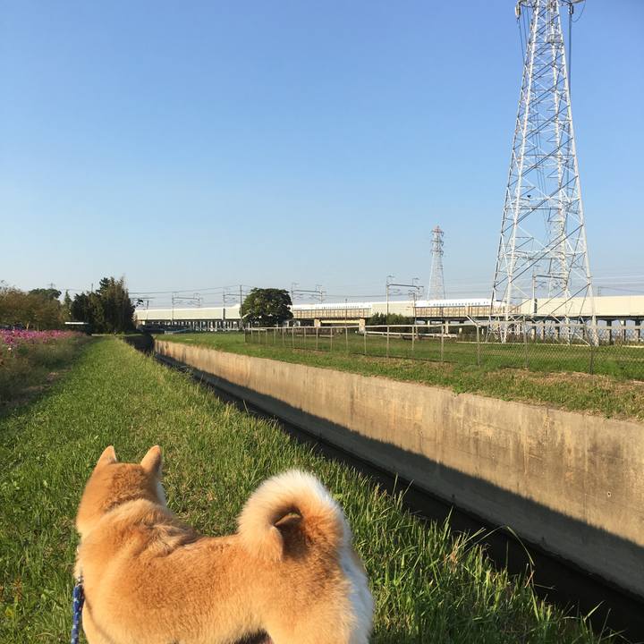 F8e04303 5d92 4f28 9977 6bd382e72be1 1508250206129