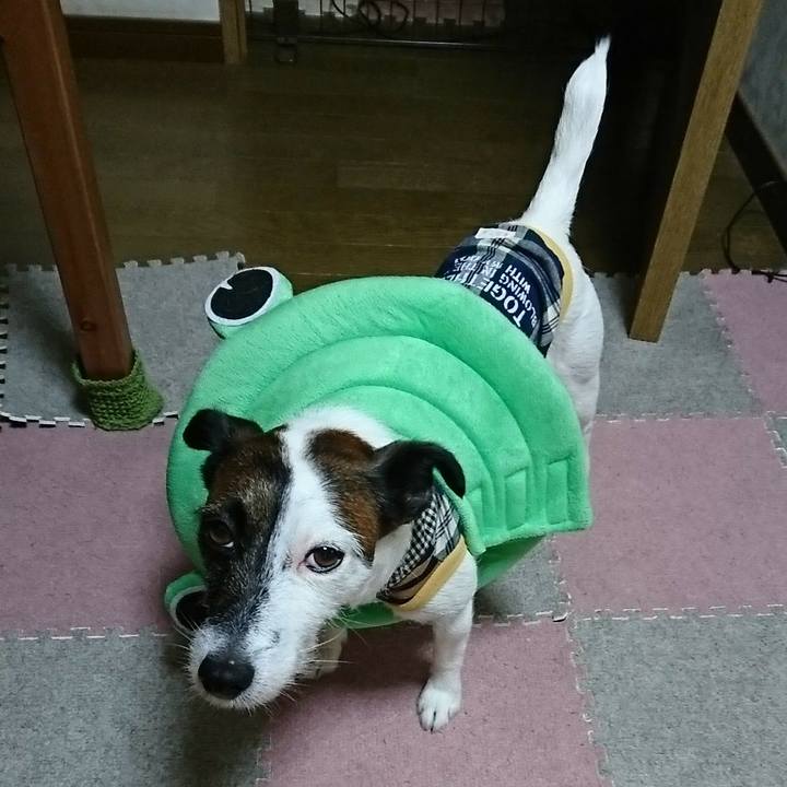 F8e046e6 5a8a 4949 9d95 c7ecfa37ec10 1538605925173