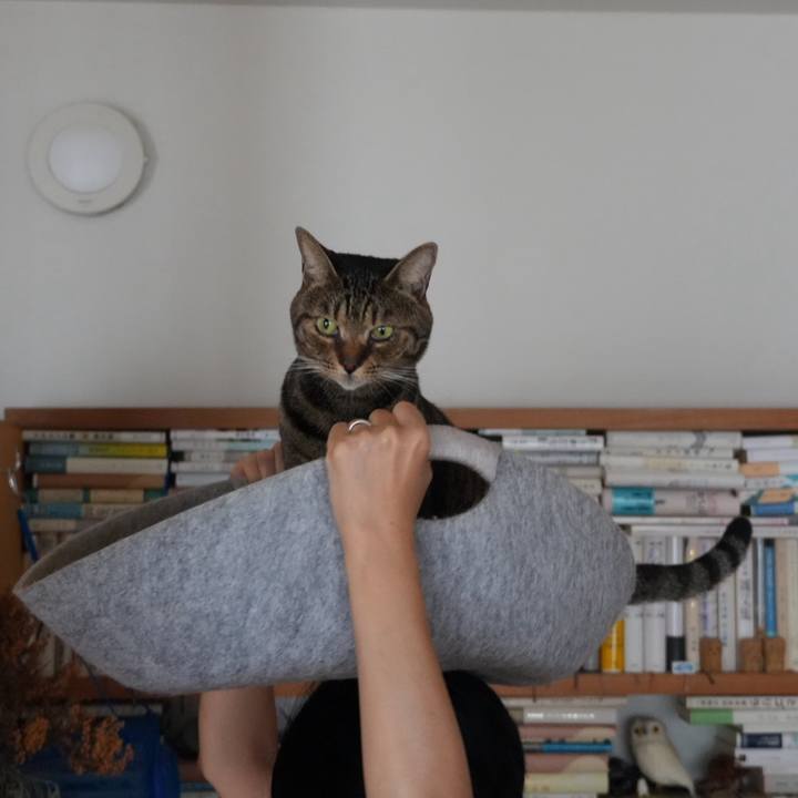 F8e08a40 8452 482d b473 96953174f48c 1759583705962