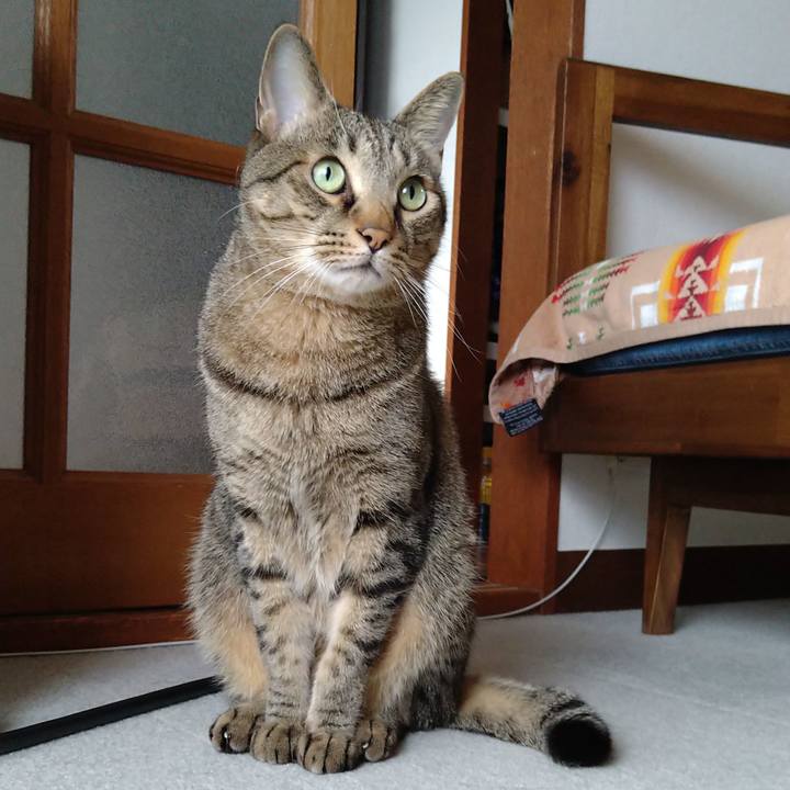 F8e0b06f b9ca 4d02 8858 bc60768593f8 1629533056498