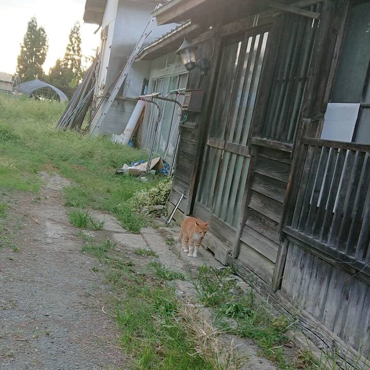 F8e0bb30 3c75 4c80 8ddd 20f04c4e7953 1599468097608