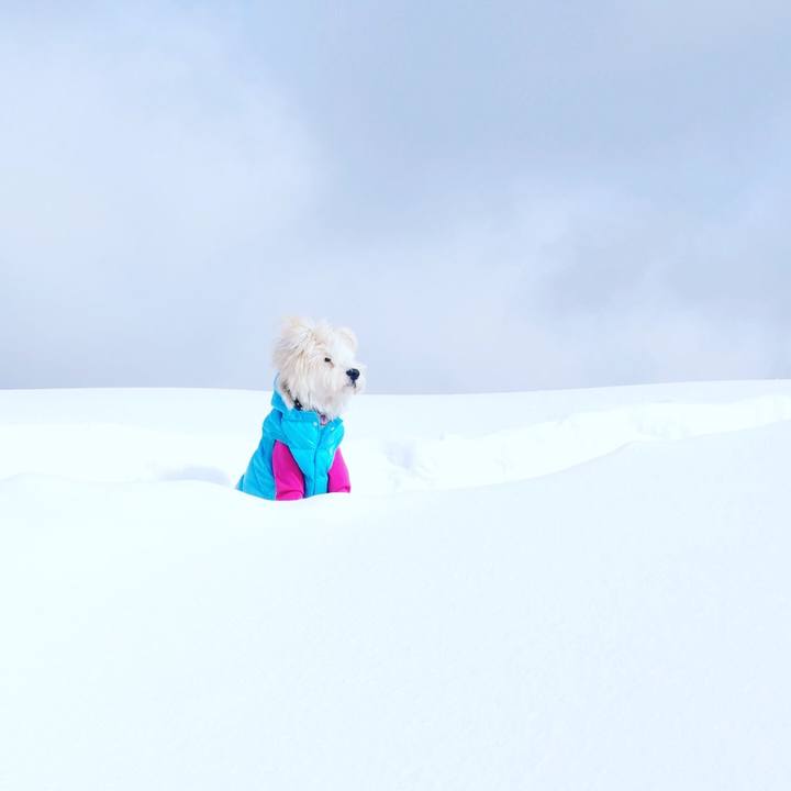 F8e0ee6b 51c7 471d 9e42 e519bf12924c 1612626746031