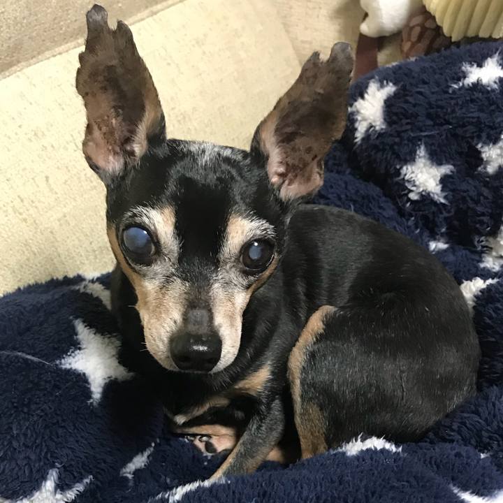 F8e103f0 49ab 4afe 917c 2df429930573 1545139463497