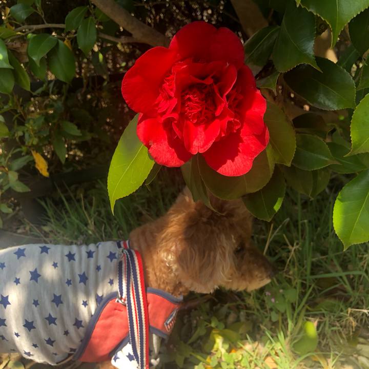 F8e11308 0551 4402 bd2e ae8f5046d7f8 1650072046788