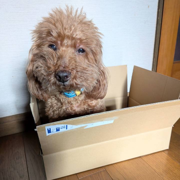 F8e126eb afab 4d0f 82fe 5184016745a1 1769149754036