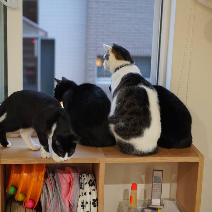 F8e13931 3024 4fc3 856c 595d0524b5d5 1576799098484