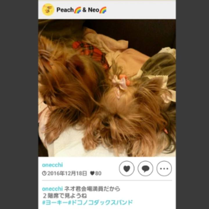 F8e1461b 3db8 4ac1 84fb b971a0e70b36 1703032203581