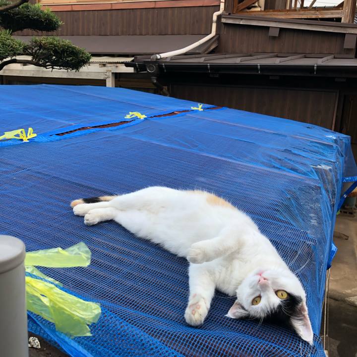 F8e174ea 9899 4e9a a219 34294577597e 1599729279460