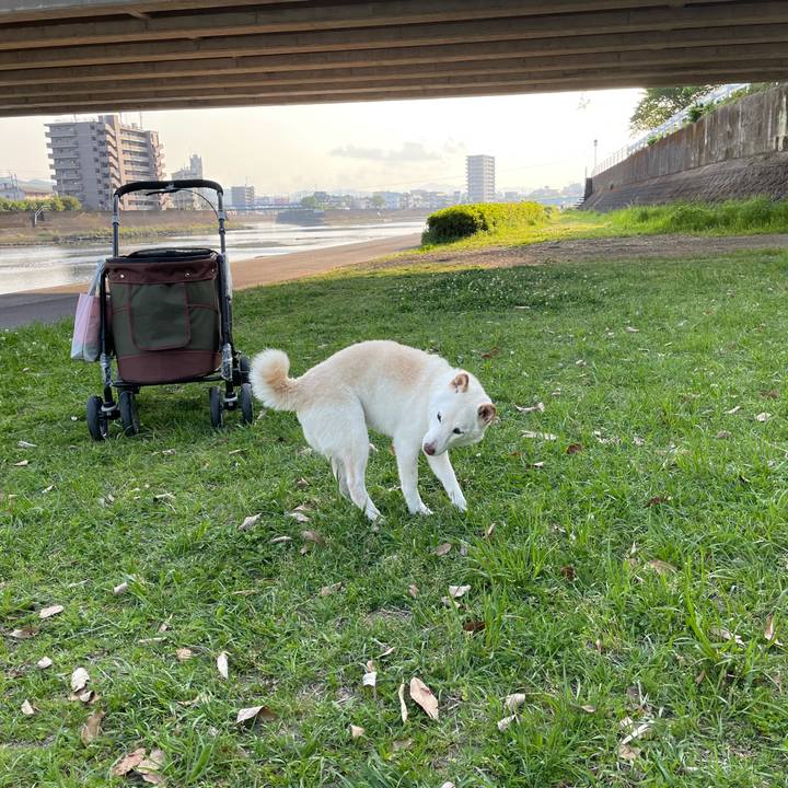 F8e17c32 c7e8 4628 a198 2a278e504c72 1650461197302