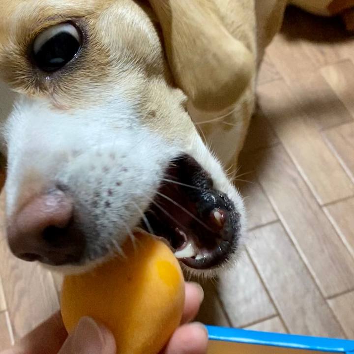 F8e17cf5 d254 490c bc87 c7c9314884ac 1654847683710