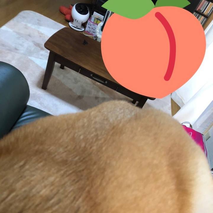 F8e1b94b dcce 4d76 92c2 23ae5ce8e3ff 1587567337320