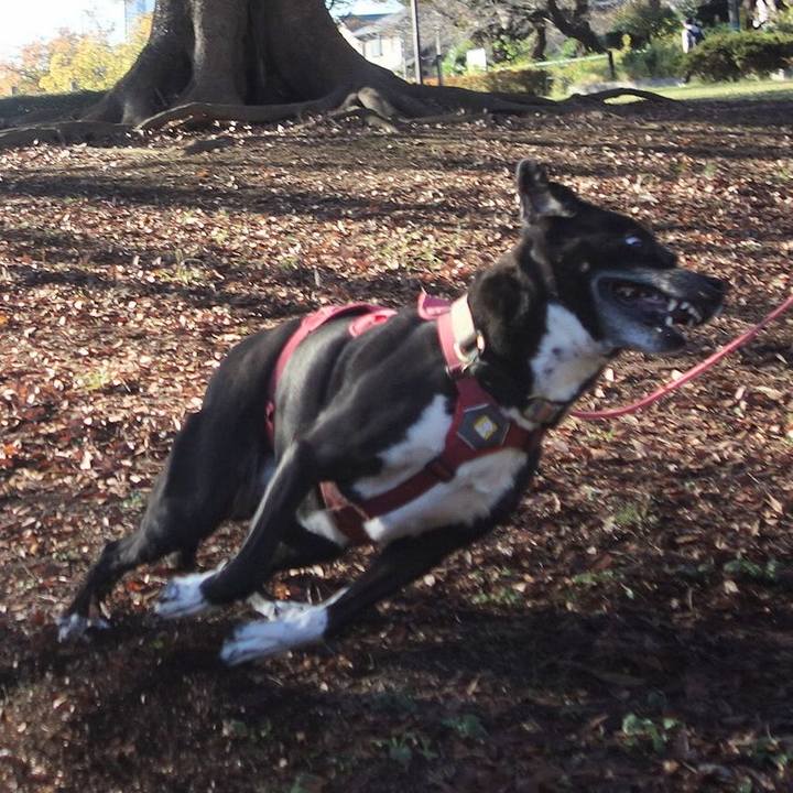 F8e1c6d2 0678 4c5c 9358 ef7d36b72164 1700443221483