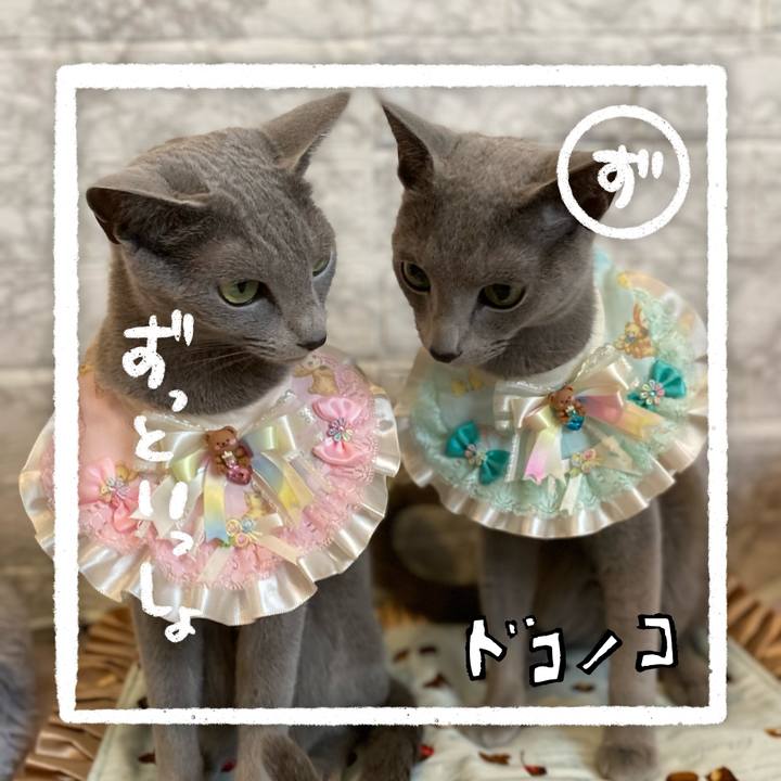 F8e1f2bd f484 4b93 ac82 5e80d483d446 1685958055930