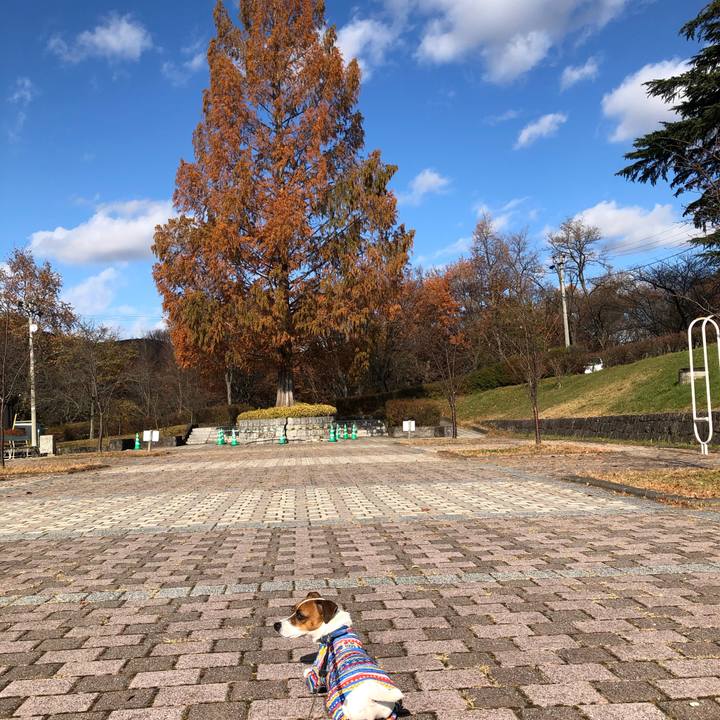 F8e21af2 73e3 4ba2 89b4 22dca309d7a5 1575074670064