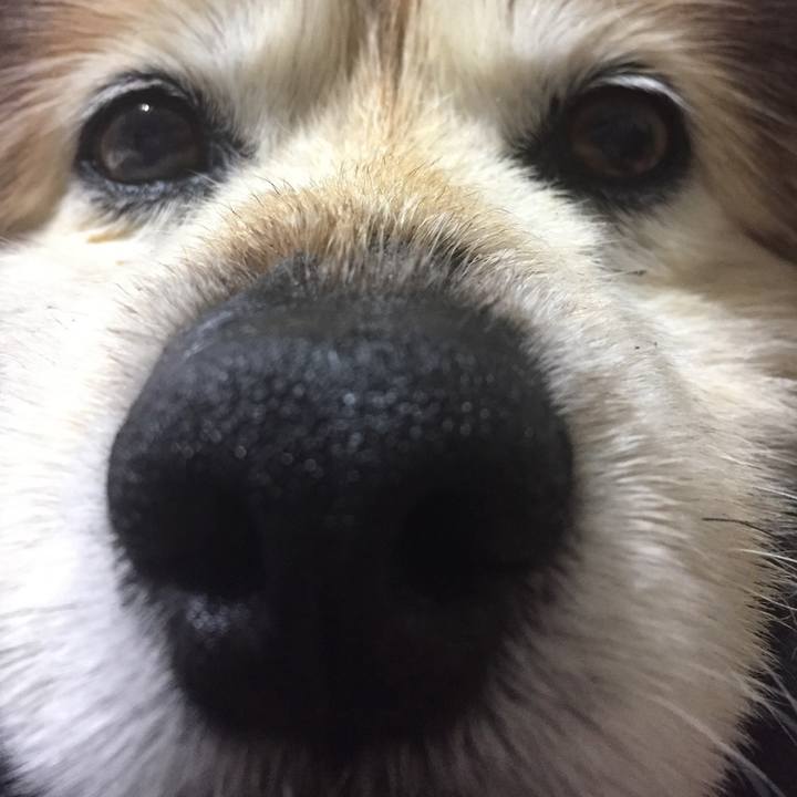 F8e22c73 7373 4618 9c6d 491a3d6763fe 1630966692383