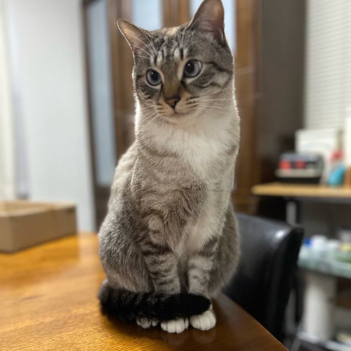 F8e2491f 3f4d 4180 9c90 6b133e4e35cf 1706078172229